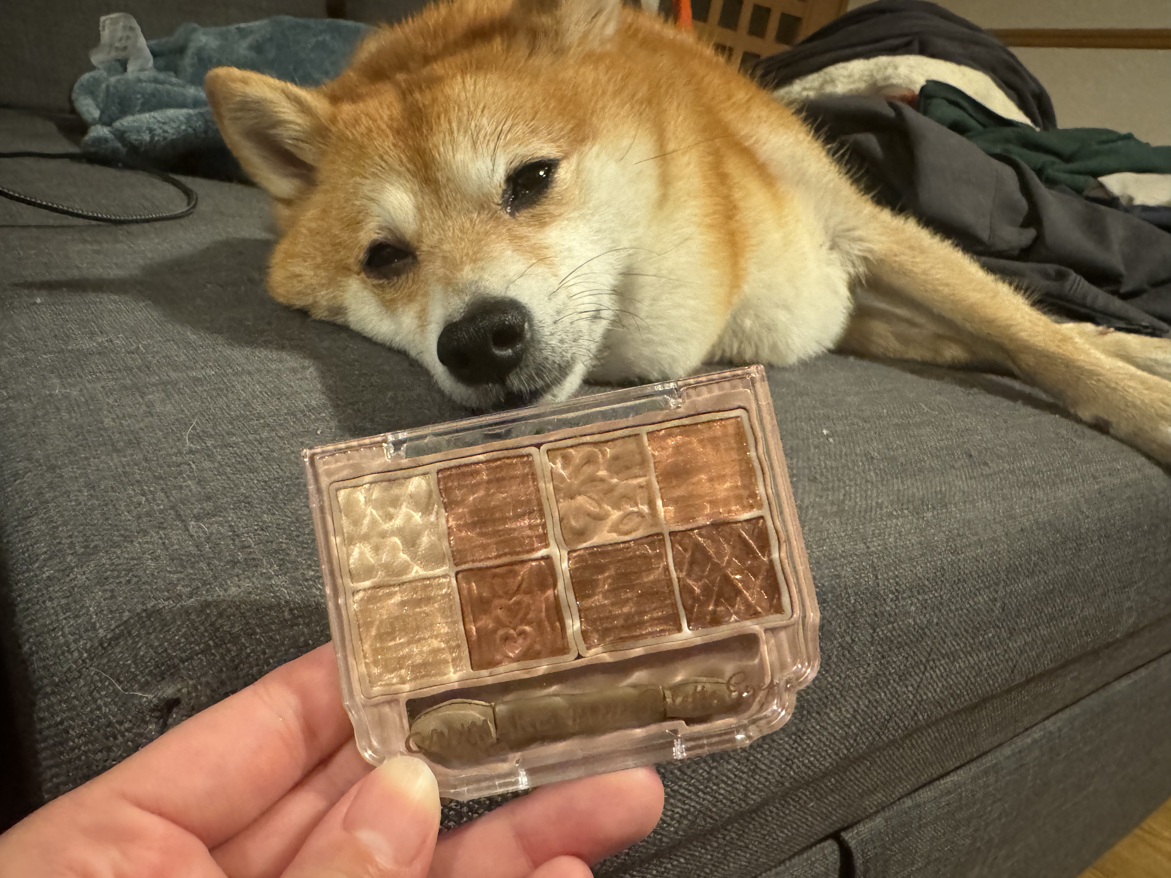 プティパレットアイズ/キャンメイク/パウダーアイシャドウを使ったクチコミ（3枚目）