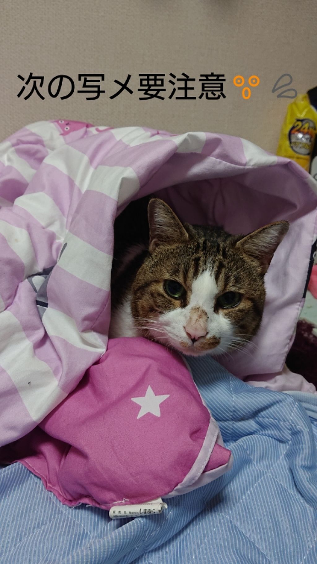 ハトムギ保湿ジェル(ナチュリエ スキンコンディショニングジェル)/ナチュリエ/美容液を使ったクチコミ(2枚目)