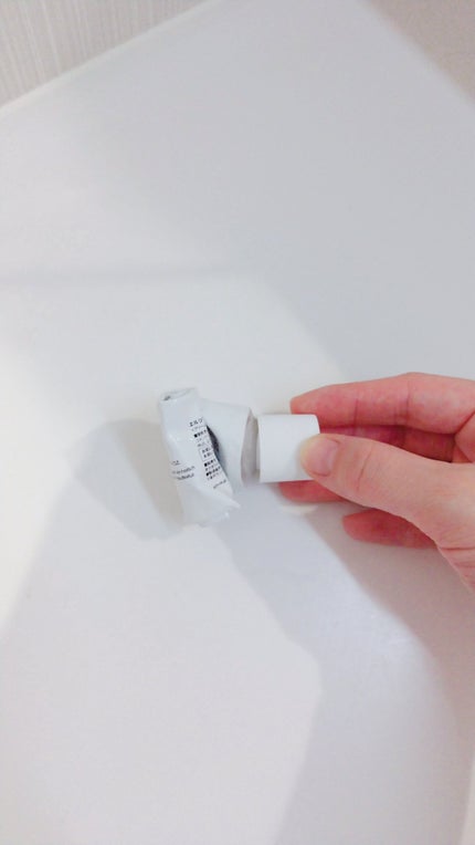 シルククリーム/エルツティン/美容液を使ったクチコミ(2枚目)