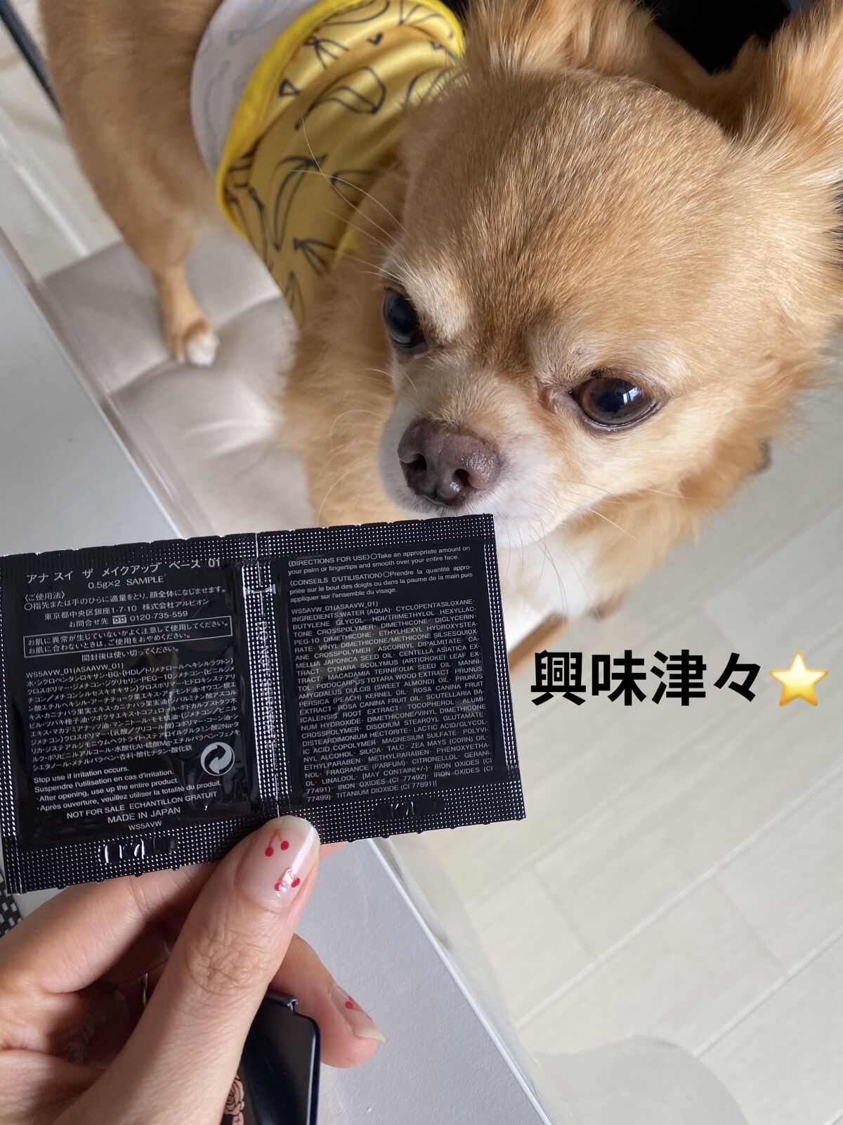 ザ メイクアップ ベース /ANNA SUI/化粧下地を使ったクチコミ（3枚目）