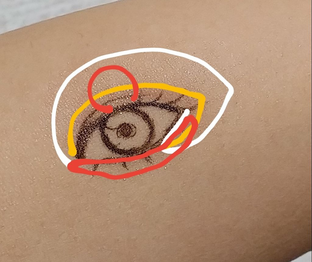 アイ カラー(チップ付)/ちふれ/アイシャドウパレットを使ったクチコミ(2枚目)