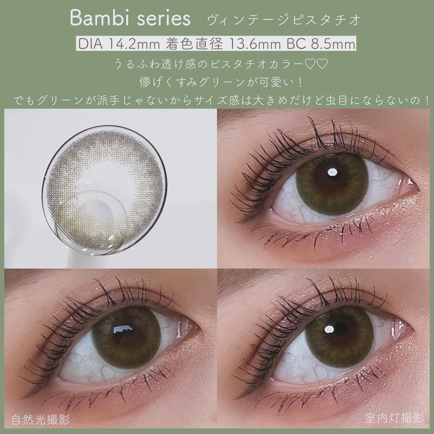 Angelcolor Bambi Series Vintage 1day/AngelColor/ワンデー(1DAY)カラコンを使ったクチコミ(3枚目)