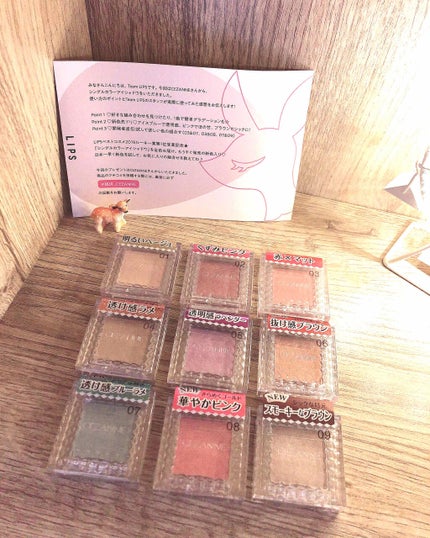 シングルカラーアイシャドウ/CEZANNE/単色アイシャドウを使ったクチコミ(1枚目)