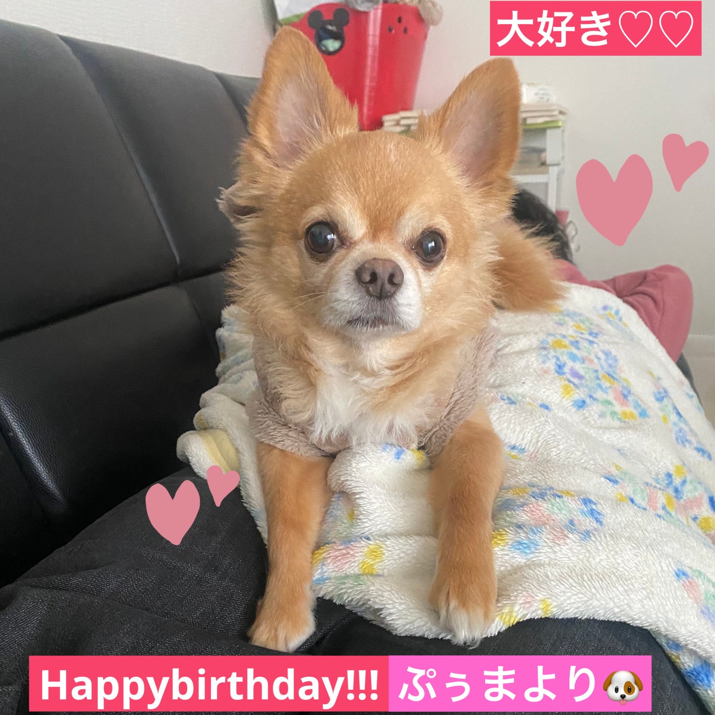 カラフルネイルズ/キャンメイク/マニキュアを使ったクチコミ(6枚目)