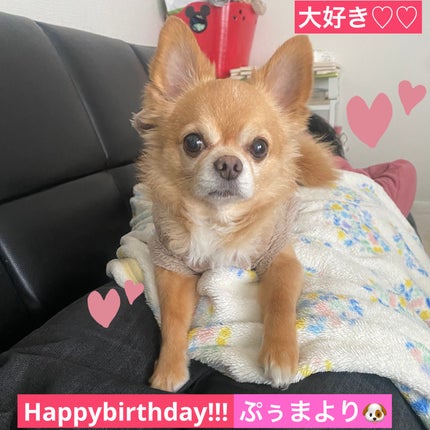 カラフルネイルズ/キャンメイク/マニキュアを使ったクチコミ(6枚目)