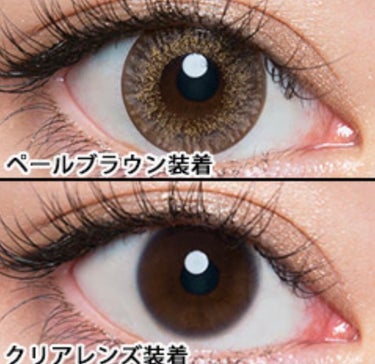 AngelColor 1day Pale Brown/AngelColor/ワンデー（１DAY）カラコンを使ったクチコミ（3枚目）