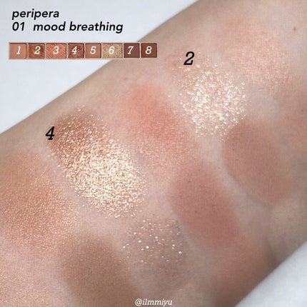 プロ アイ パレット/CLIO/アイシャドウパレットを使ったクチコミ(10枚目)