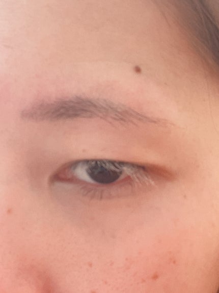 コンシーラーブロウマスカラ/キャンメイク/その他アイブロウを使ったクチコミ(3枚目)