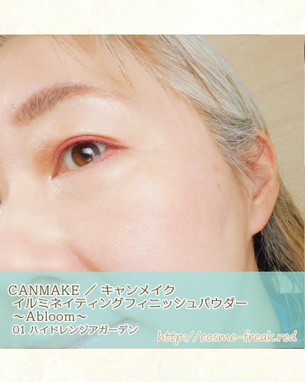 イルミネイティングフィニッシュパウダー ~Abloom~/キャンメイク/プレストパウダーを使ったクチコミ(6枚目)