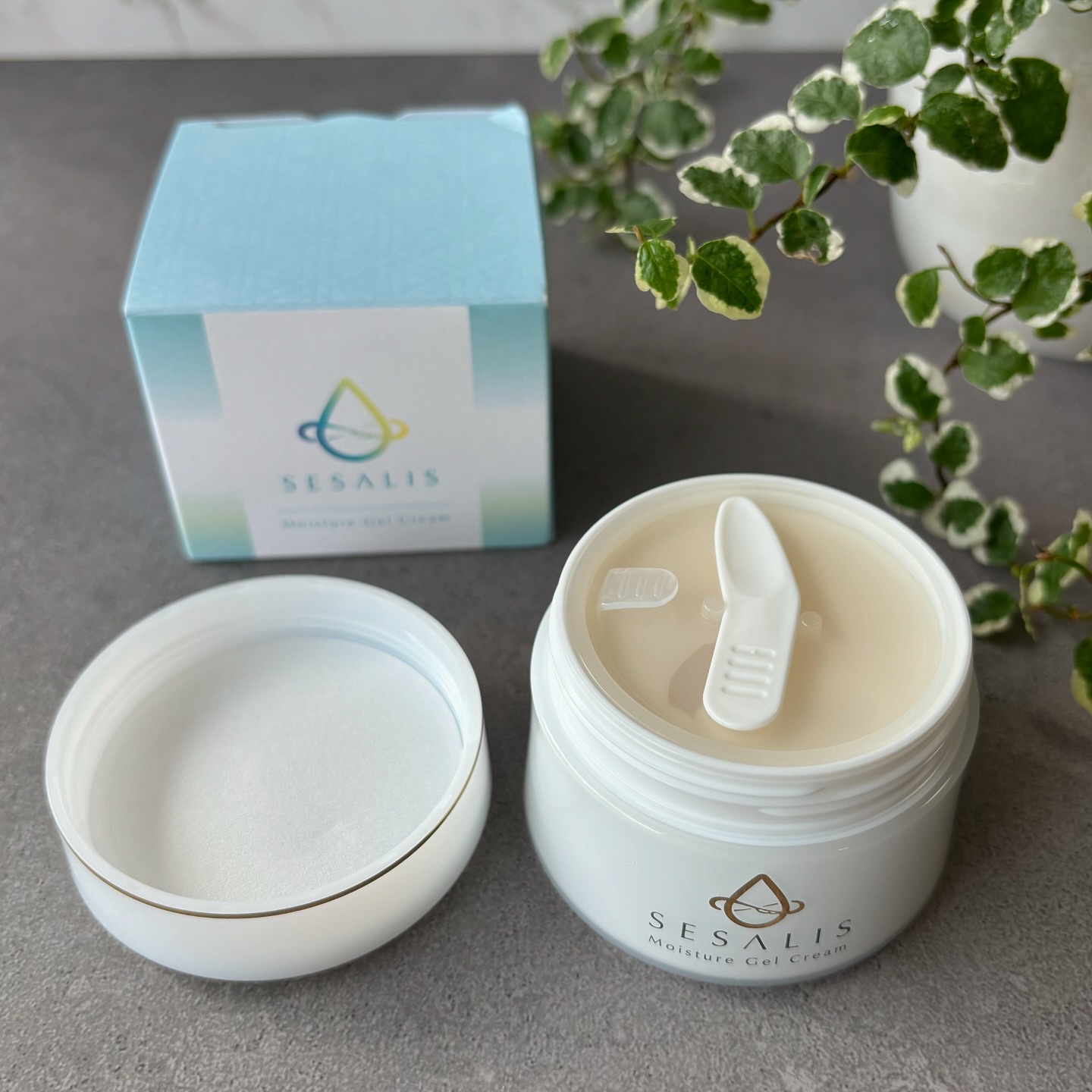 モイスチャージェルクリーム/SESALIS/フェイスクリームを使ったクチコミ（2枚目）