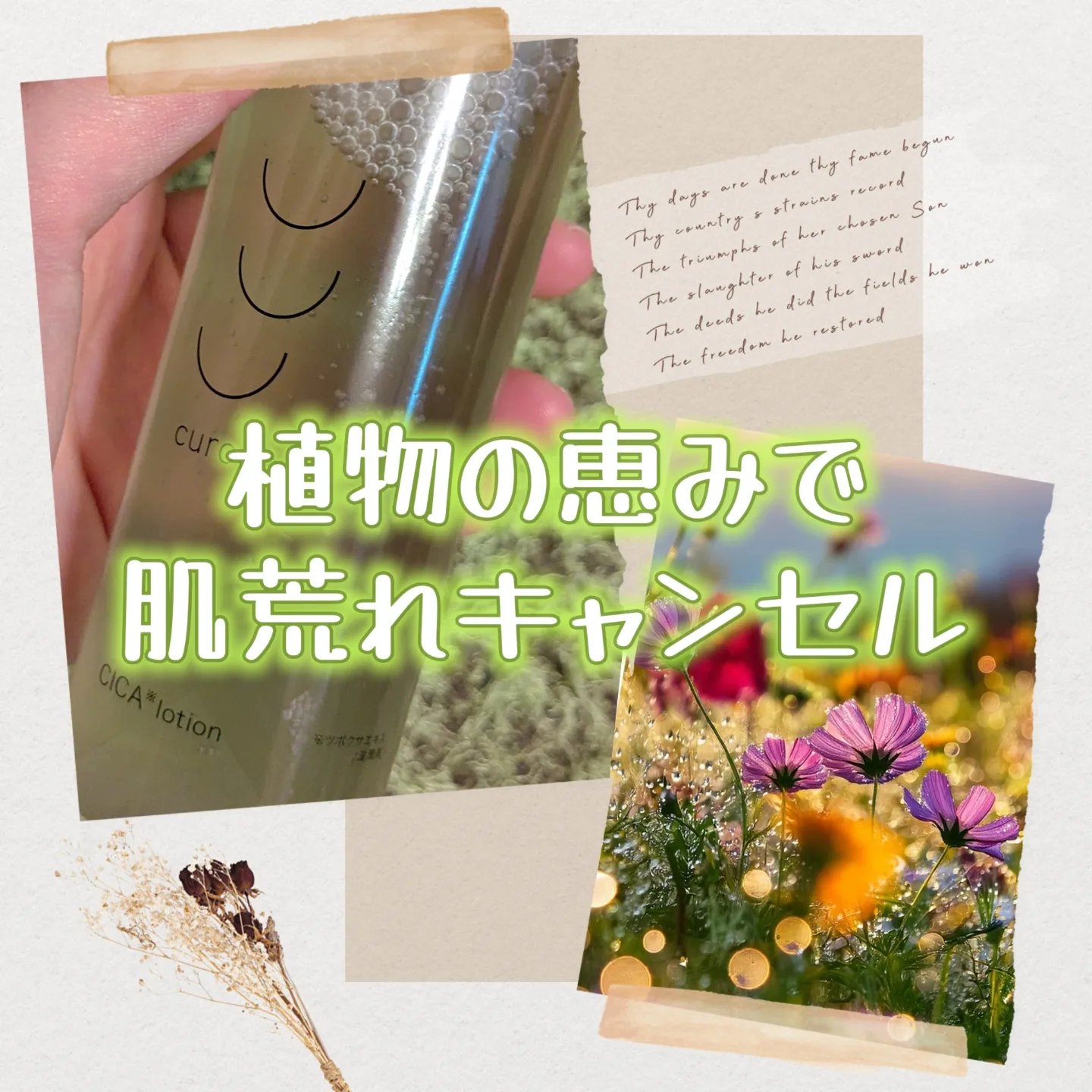 curoco グリーンダーマローション/curoco/化粧水を使ったクチコミ（1枚目）