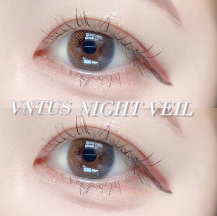 VNTUS 1day/VNTUS/ワンデー(1DAY)カラコンを使ったクチコミ(4枚目)