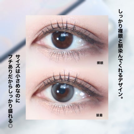 Double Tint 1day/OLENS/カラーコンタクトレンズを使ったクチコミ(4枚目)