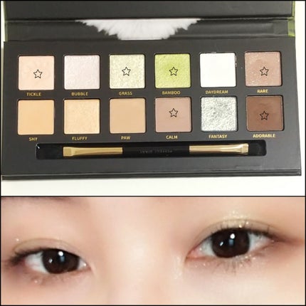 エクスプローラ12色 動物アイシャドウパレット パンダ/PERFECT DIARY/アイシャドウパレットを使ったクチコミ(2枚目)