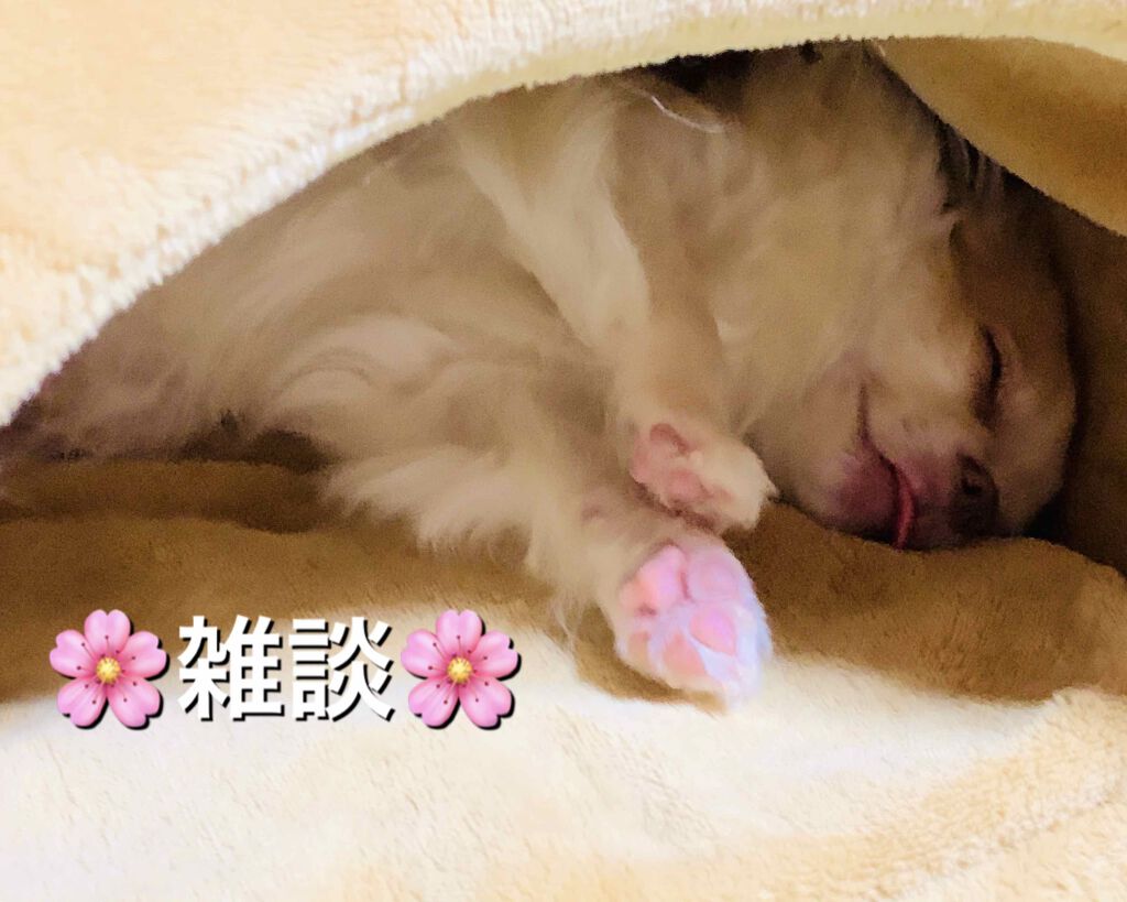 自己紹介/雑談/その他を使ったクチコミ（1枚目）