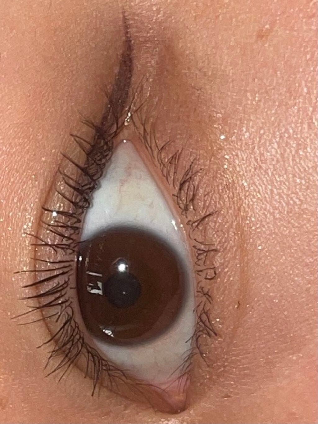 ミックスアイブロウ/キャンメイク/パウダーアイブロウを使ったクチコミ(1枚目)