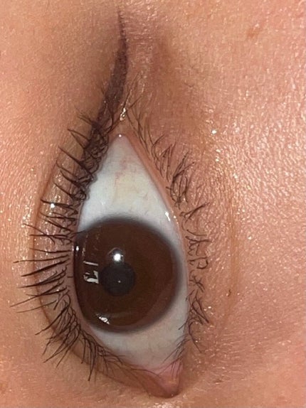 ミックスアイブロウ/キャンメイク/パウダーアイブロウを使ったクチコミ(1枚目)