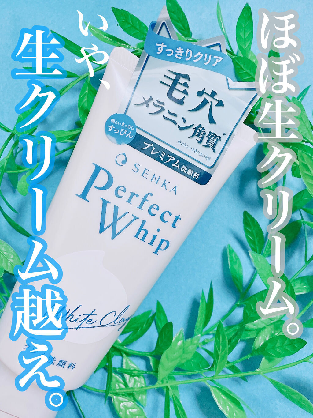 パーフェクトホワイトクレイ/SENKA（専科）/洗顔フォームを使ったクチコミ（1枚目）