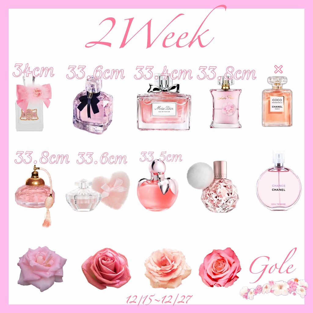 Erika on LIPS 「9日目!2週間で10キロ痩せるダンスseason2本日はハンド..」(3枚目)