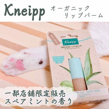 Kneipp(クナイプ)
オーガニックリップバーム

9月22日発売、一部店舗限定販売のスペアミントの香りです🌿

主な取り扱い店
ココカラファイン、ウエルシア薬局、トモズ、ロフト、東急ハンズ、プラザ
