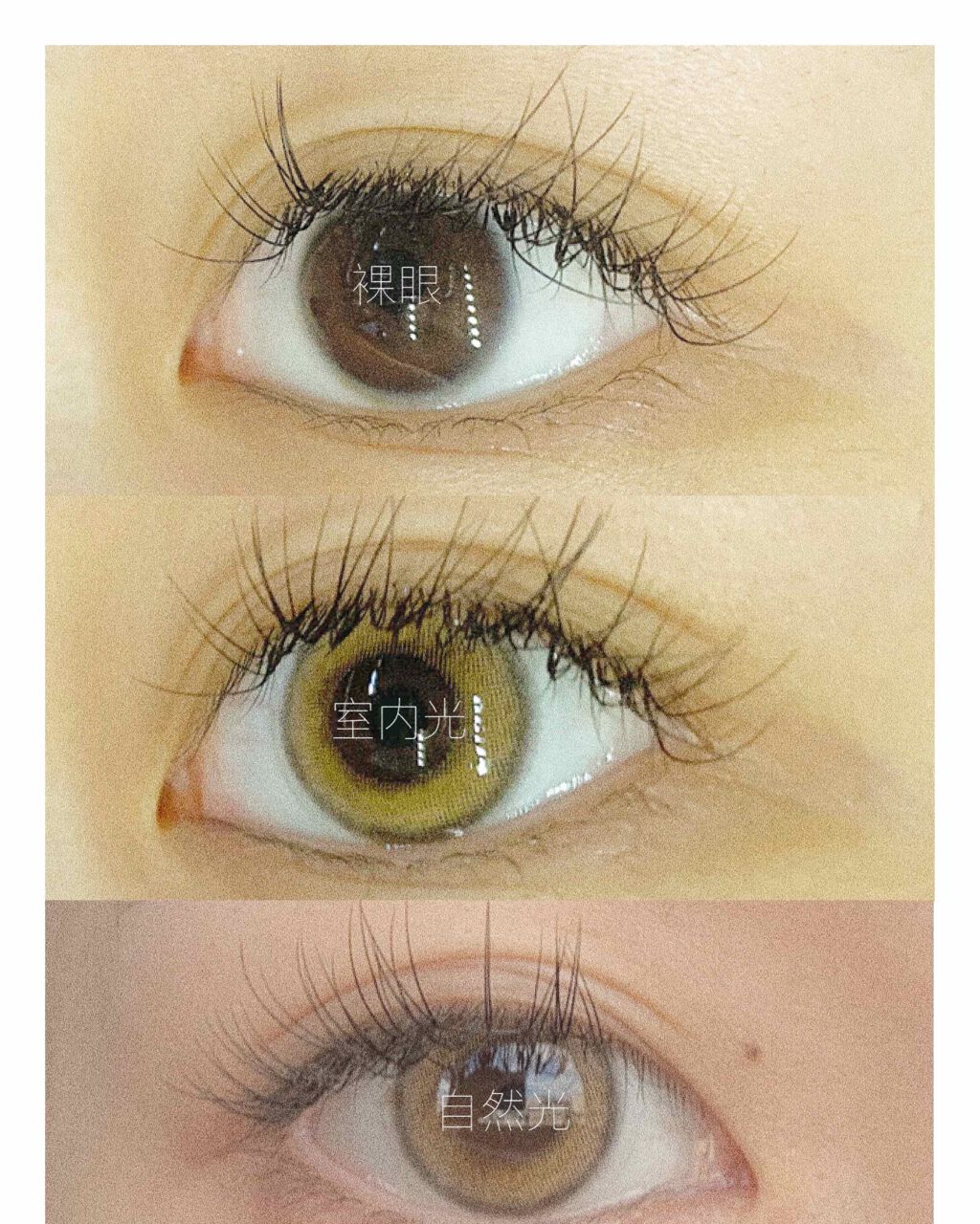 レヴィアワンデーカラー/ReVIA/ワンデー(1DAY)カラコンを使ったクチコミ(1枚目)