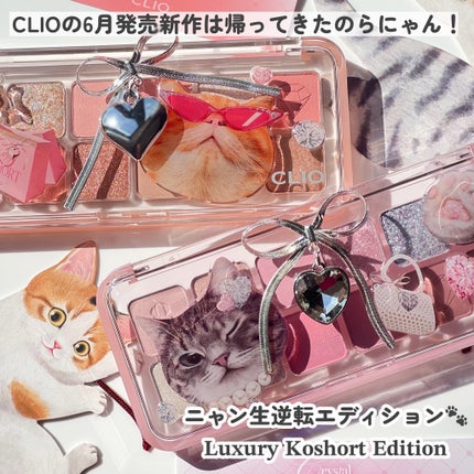 プロ アイ パレット エアー/CLIO/アイシャドウパレットを使ったクチコミ(2枚目)