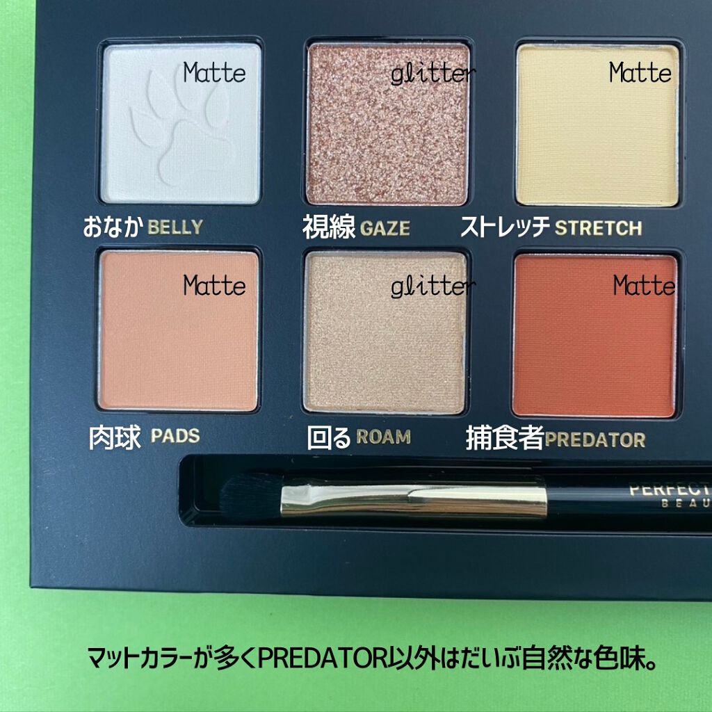 エクスプローラ12色 動物アイシャドウパレット/PERFECT DIARY/アイシャドウパレットを使ったクチコミ(5枚目)