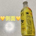 三ツ矢　ゆず / アサヒ飲料