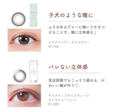 エバーカラーワンデーナチュラル モイストレーベルUV/エバーカラー/ワンデー(1DAY)カラコンを使ったクチコミ(3枚目)