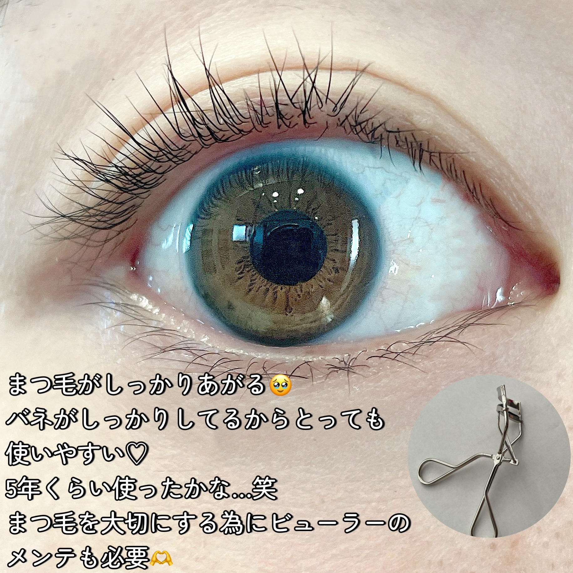 アイラッシュカーラー /SHISEIDO/ビューラーを使ったクチコミ（3枚目）