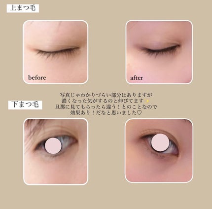 インテンシブアイラッシュセラム/COSNORI/まつげ美容液を使ったクチコミ(2枚目)