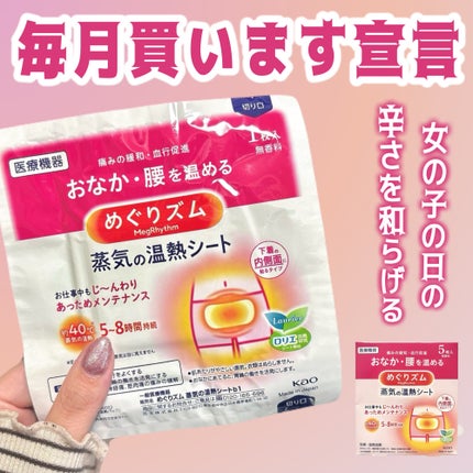 蒸気の温熱シート 下着の内側面に貼るタイプ/めぐりズム/その他を使ったクチコミ(1枚目)