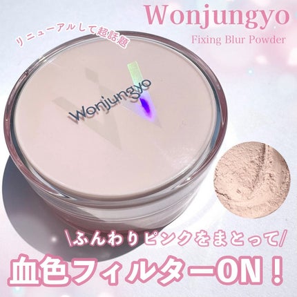 ウォンジョンヨ フィクシングブラーパウダー N/Wonjungyo/ルースパウダーを使ったクチコミ(1枚目)