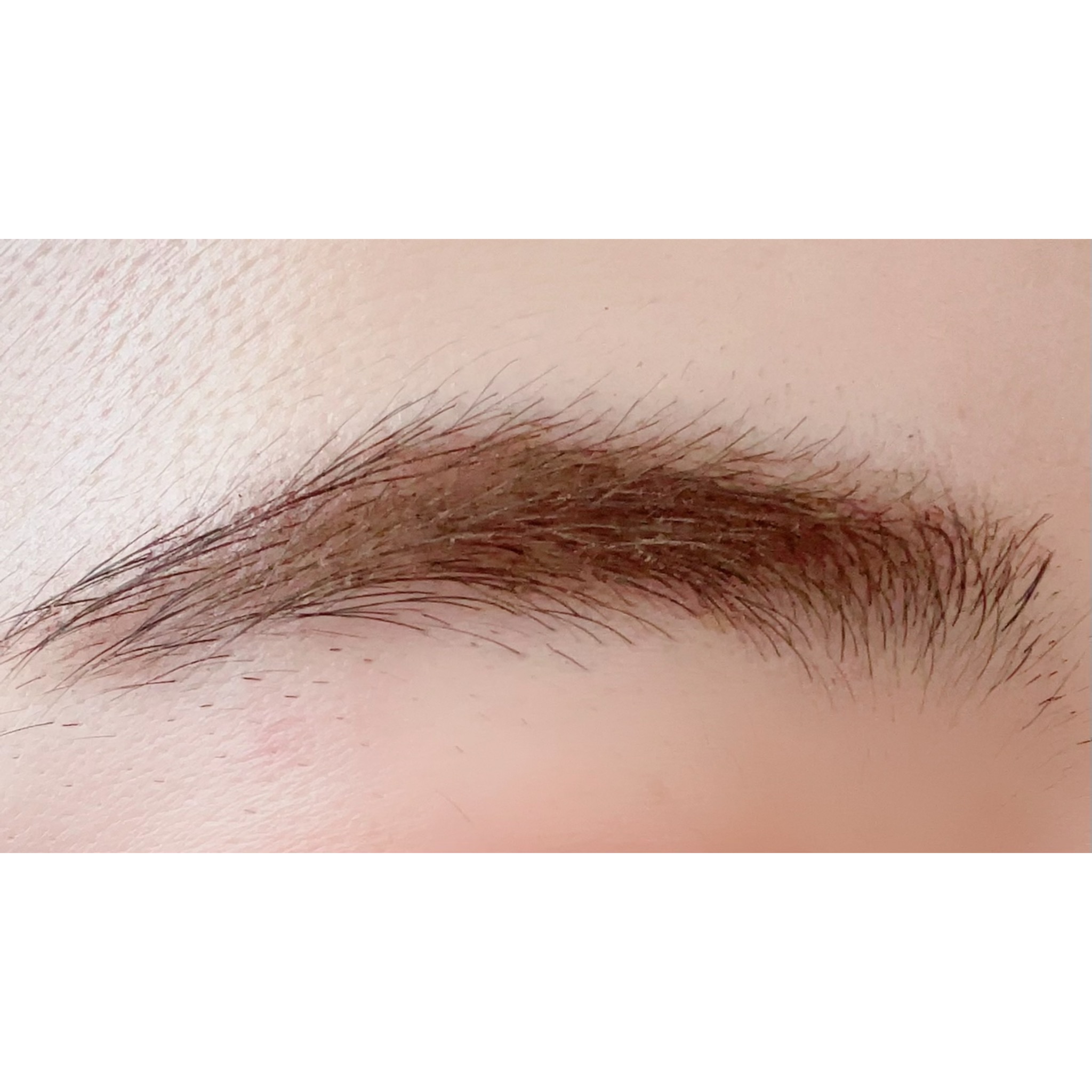 ニュアンスアイブローマスカラ BR672/インテグレート/眉マスカラを使ったクチコミ（3枚目）