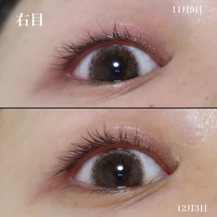 エグータム/アルマダスタイル/まつげ美容液を使ったクチコミ(2枚目)