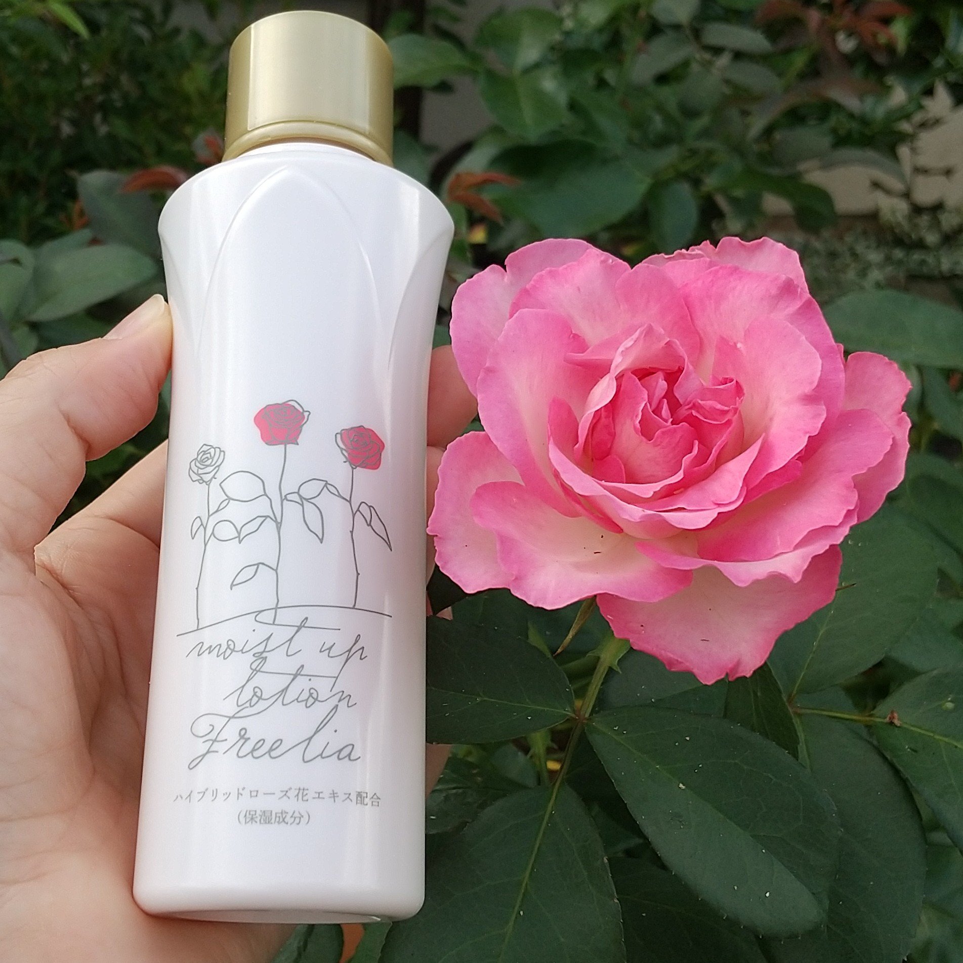 を使ったクチコミ（1枚目）