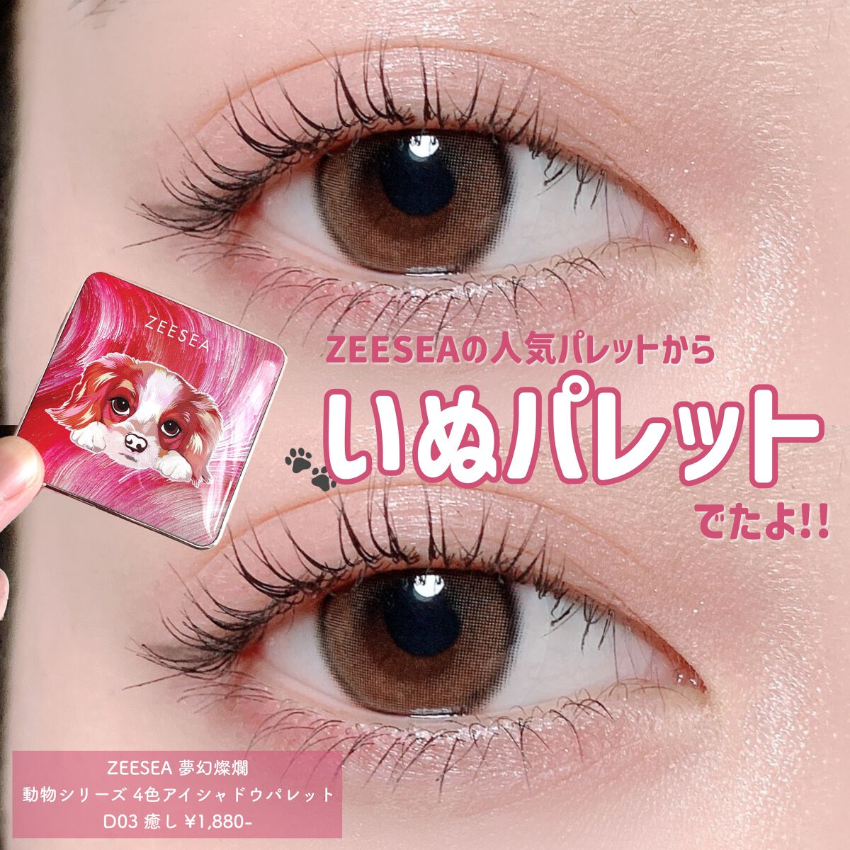 アニマルアイシャドウ(4シェード)/ZEESEA/アイシャドウパレットを使ったクチコミ（1枚目）