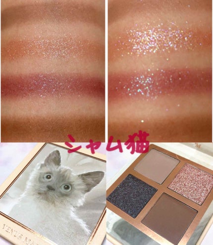 Venus Marble アイシャドウキャットシリーズ/Venus Marble/アイシャドウパレットを使ったクチコミ(1枚目)