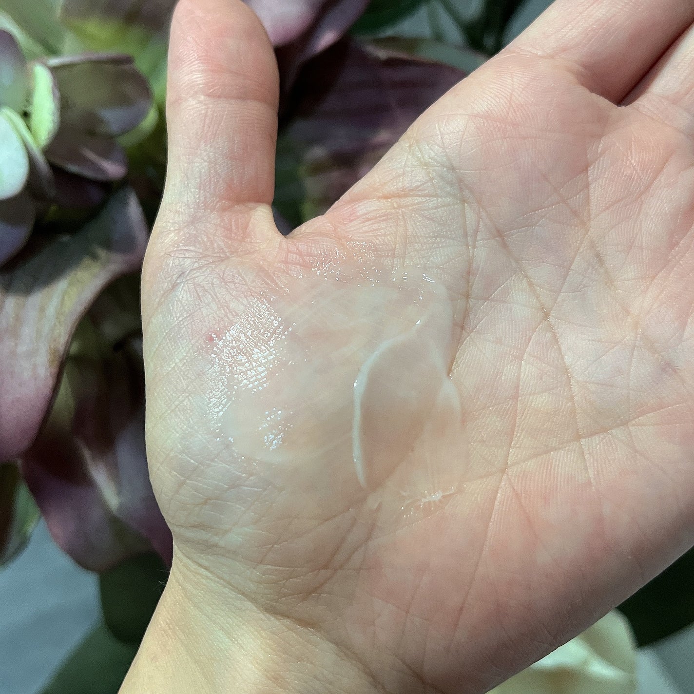 ペプチドハイドレーティングクリーム/favs/フェイスクリームを使ったクチコミ(5枚目)