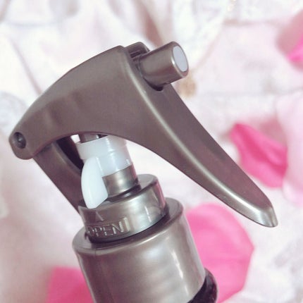 ハイドロミストN/plus eau/アウトバストリートメントを使ったクチコミ(3枚目)