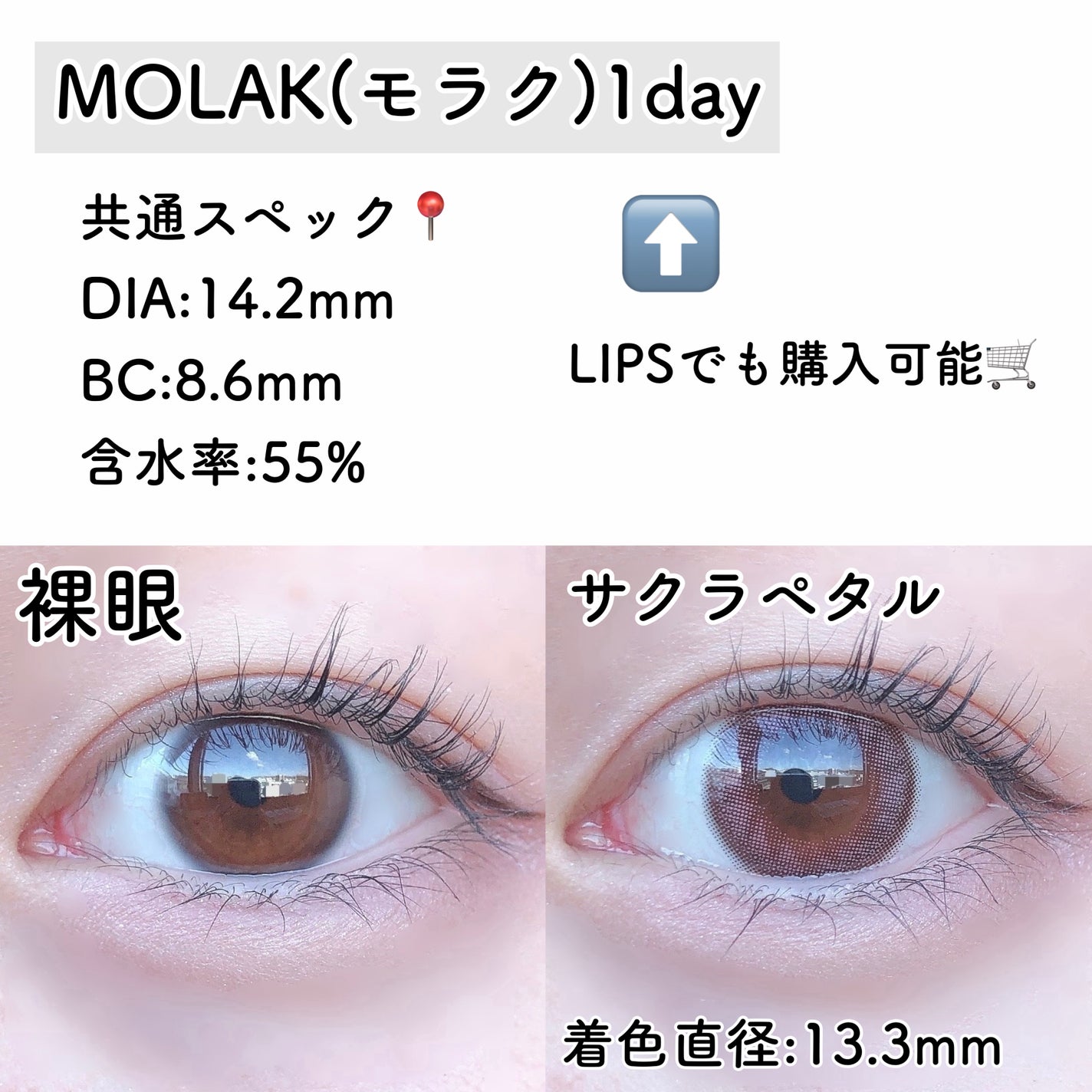 MOLAK 1day/MOLAK/ワンデー(1DAY)カラコンを使ったクチコミ(3枚目)