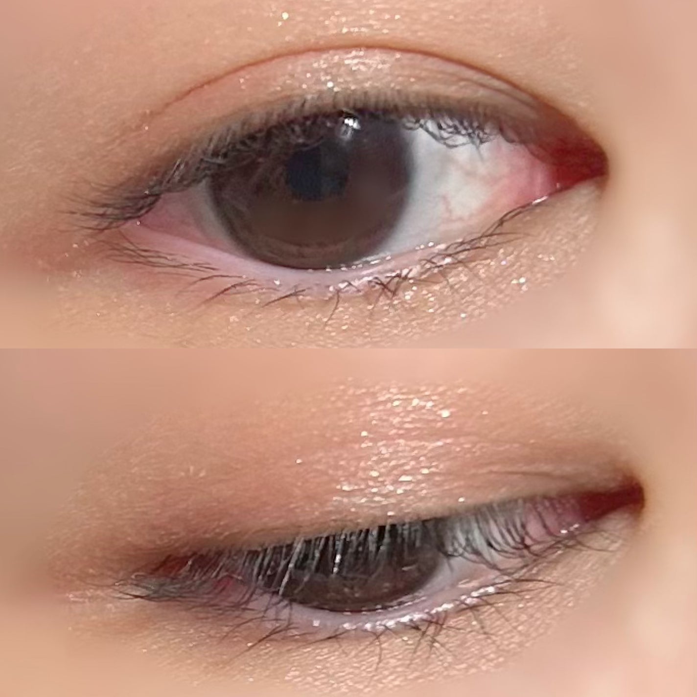 レ ベージュ パレット ルガール/CHANEL/アイシャドウパレットを使ったクチコミ(2枚目)