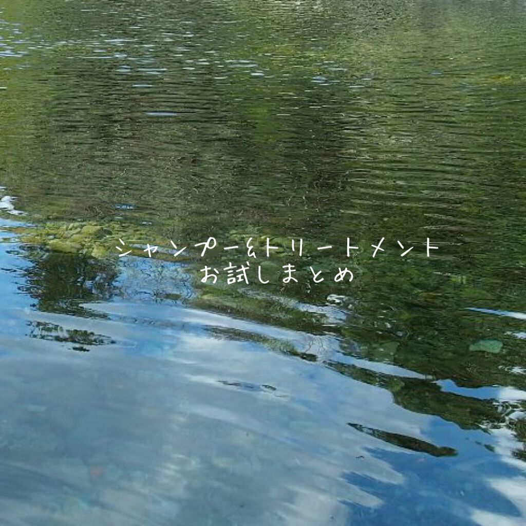 CCシャンプー/トリートメント スムース/SIRTFL/市販シャンプーを使ったクチコミ（1枚目）