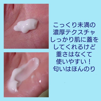 シカ水分クリーム/Dr.Belmeur/フェイスクリームを使ったクチコミ(2枚目)