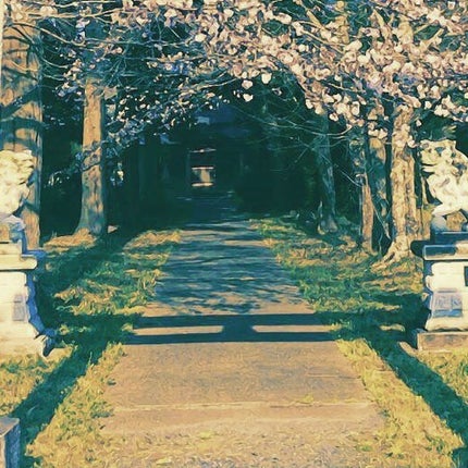 ヒュイル オードパルファム/Aesop/香水(その他)を使ったクチコミ(4枚目)