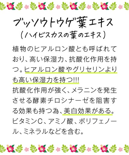 ハイビスカス化粧水(しっとり)/チュフディ ナチュール/化粧水を使ったクチコミ(3枚目)