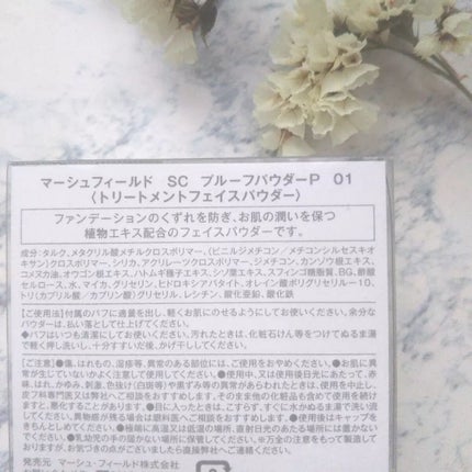 マーシュフィールド SC プルーフパウダーP/マーシュ・フィールド/ルースパウダーを使ったクチコミ(3枚目)