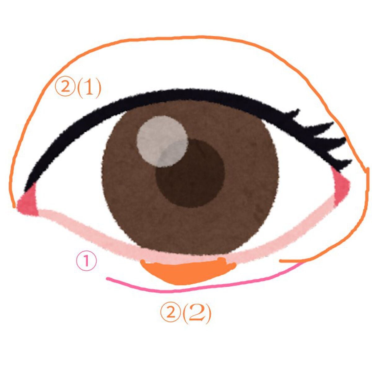 ナチュラル チークN/CEZANNE/パウダーチークを使ったクチコミ(4枚目)