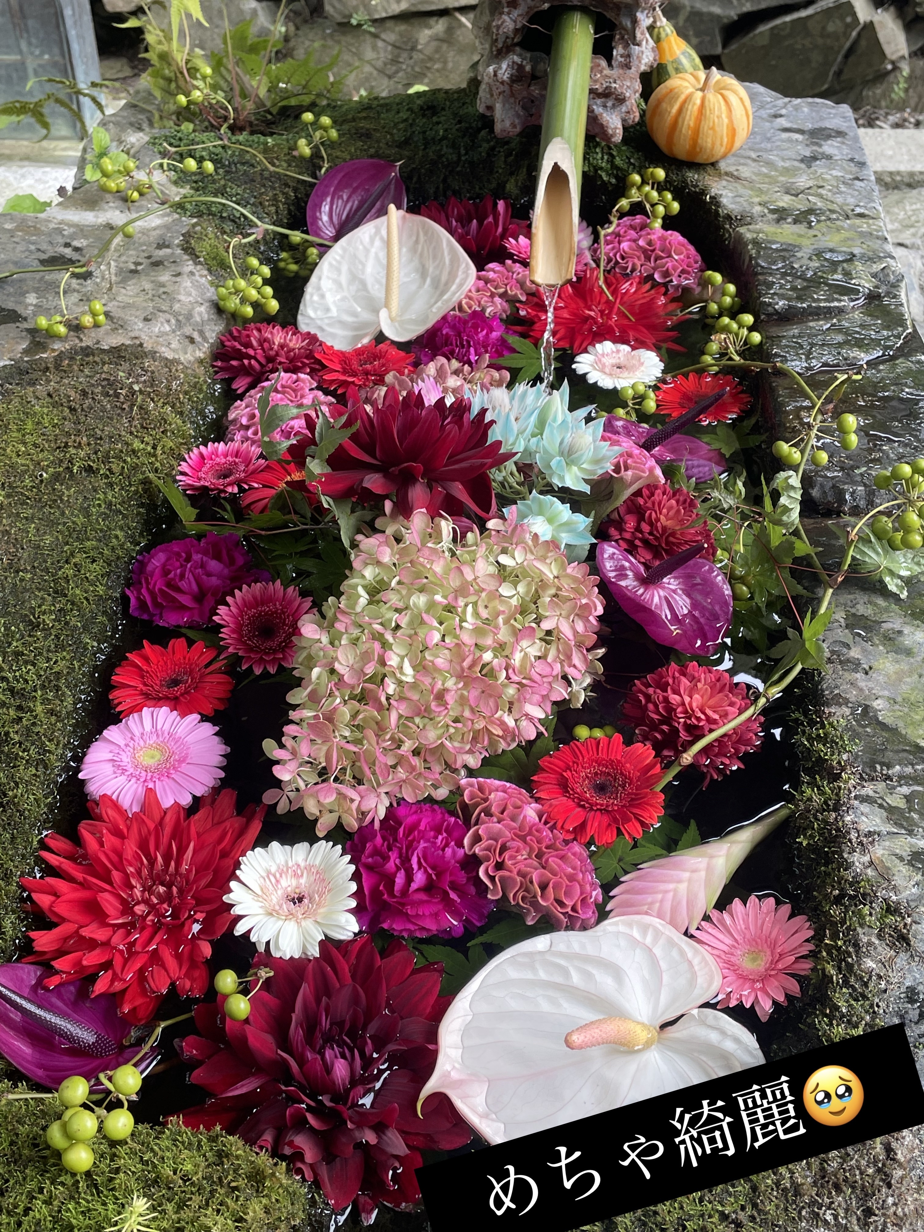 シャドウパレット/dasique/アイシャドウパレットを使ったクチコミ（2枚目）