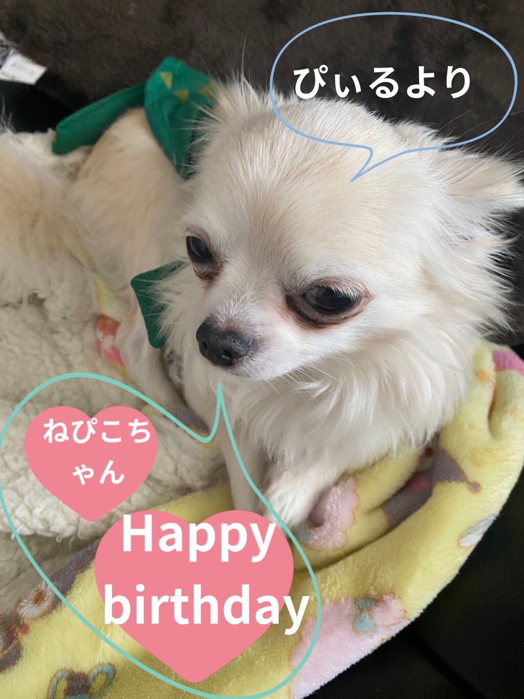 ザ・オンリーワン ルミナスカラー リップスティック/DOLCE&GABBANA BEAUTY/口紅を使ったクチコミ(6枚目)